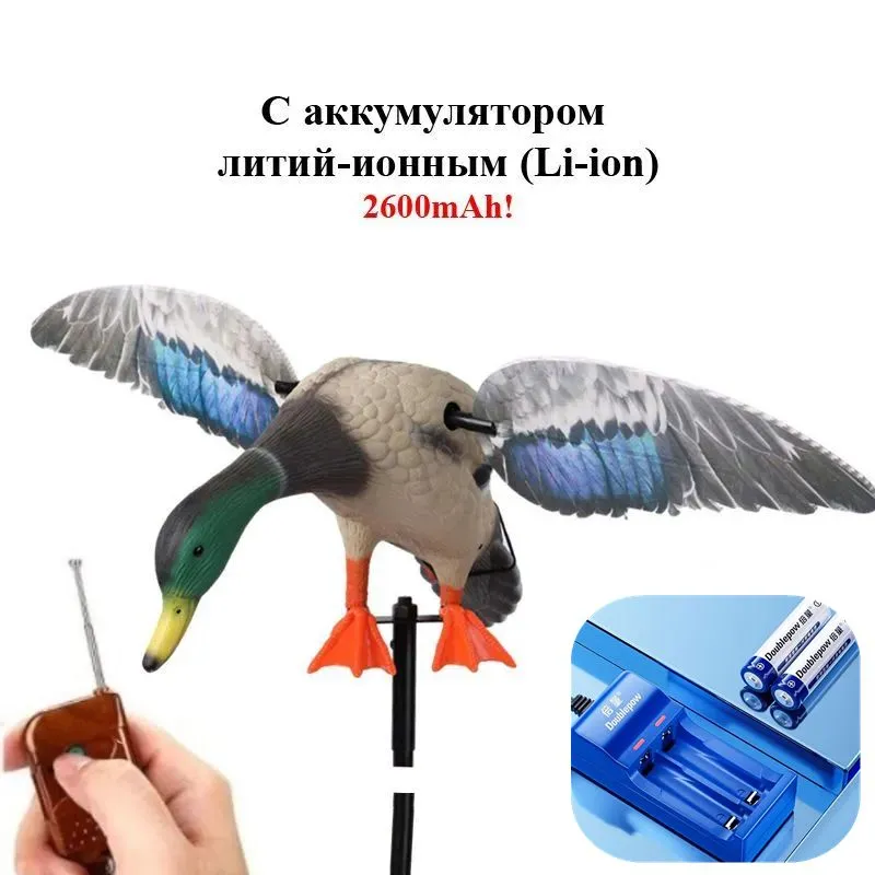 产品图片